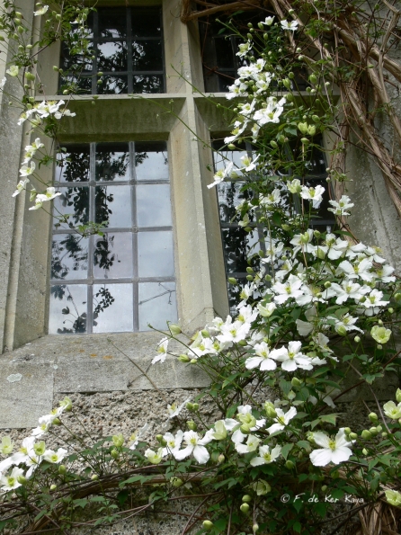 Bois des Moutiers (88) Mai 2012